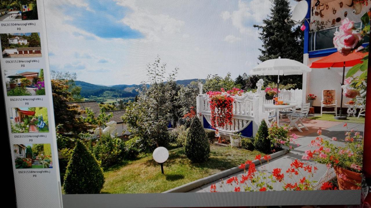 Ferienhaus Haus Herzog Titisee-Neustadt Exteriör bild