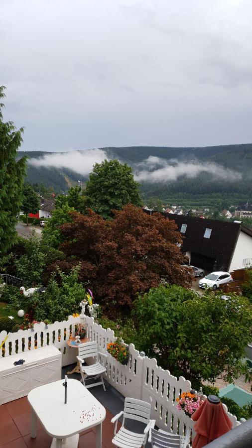 Ferienhaus Haus Herzog Titisee-Neustadt Exteriör bild