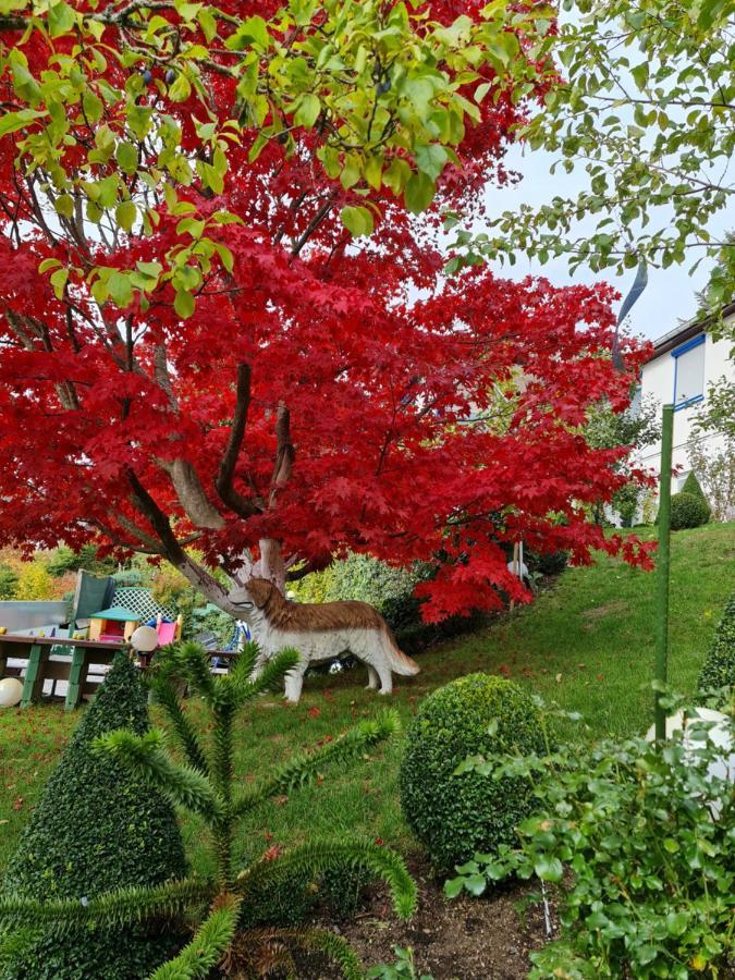 Ferienhaus Haus Herzog Titisee-Neustadt Exteriör bild
