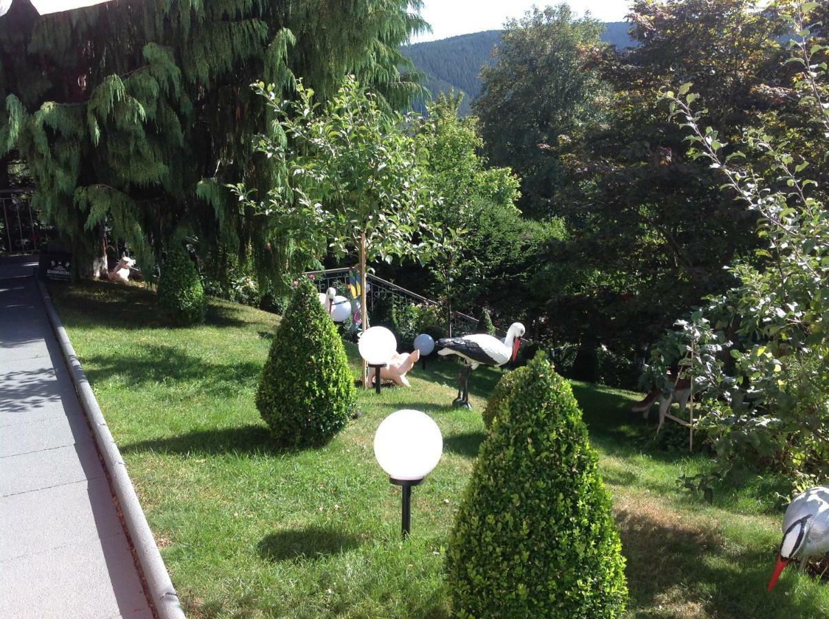 Ferienhaus Haus Herzog Titisee-Neustadt Exteriör bild