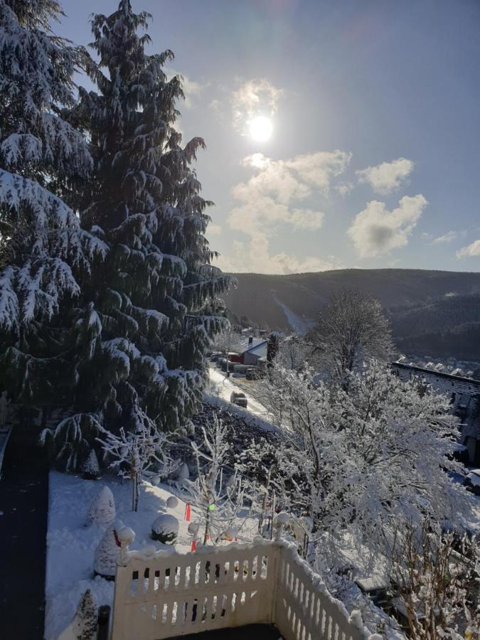 Ferienhaus Haus Herzog Titisee-Neustadt Exteriör bild